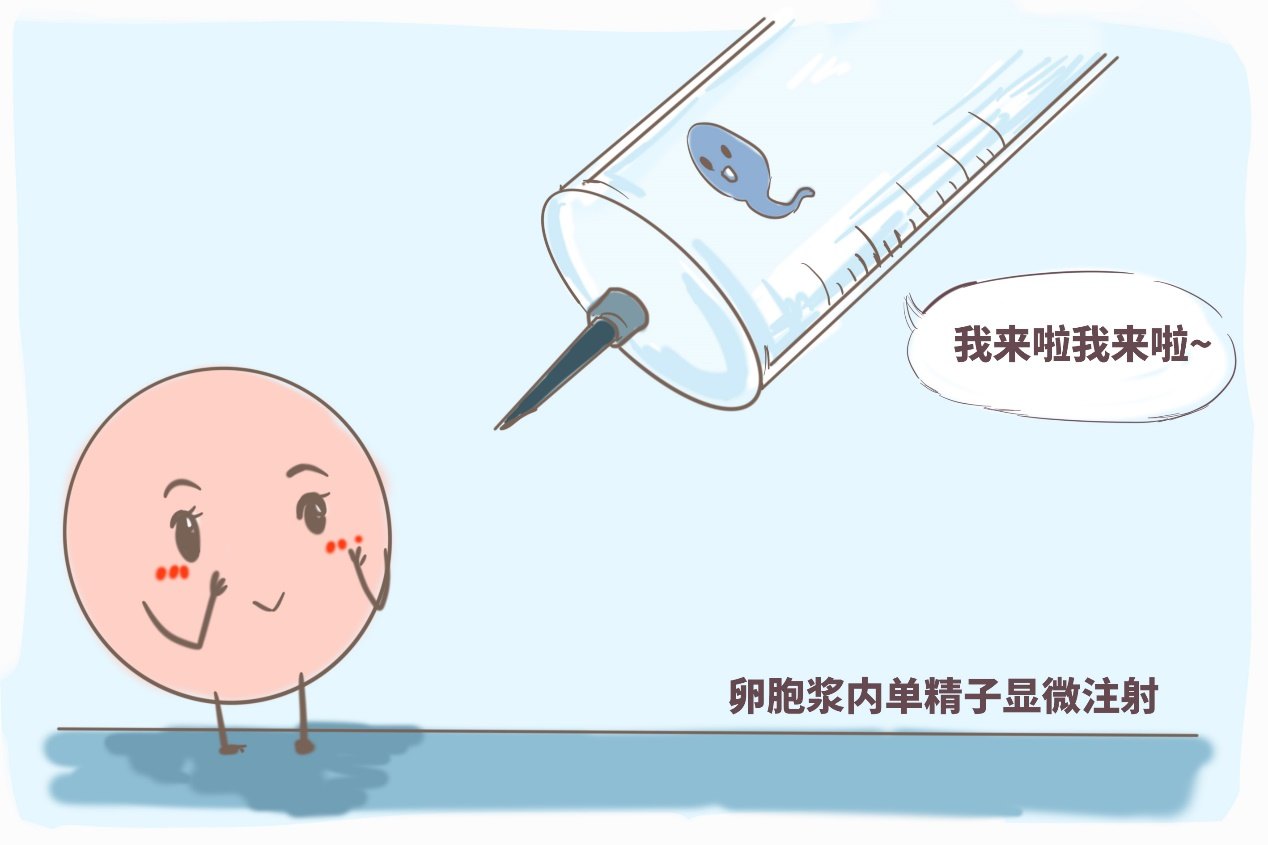 b超显示ca什么情况 b超结果显示ca可能性大是什么意思